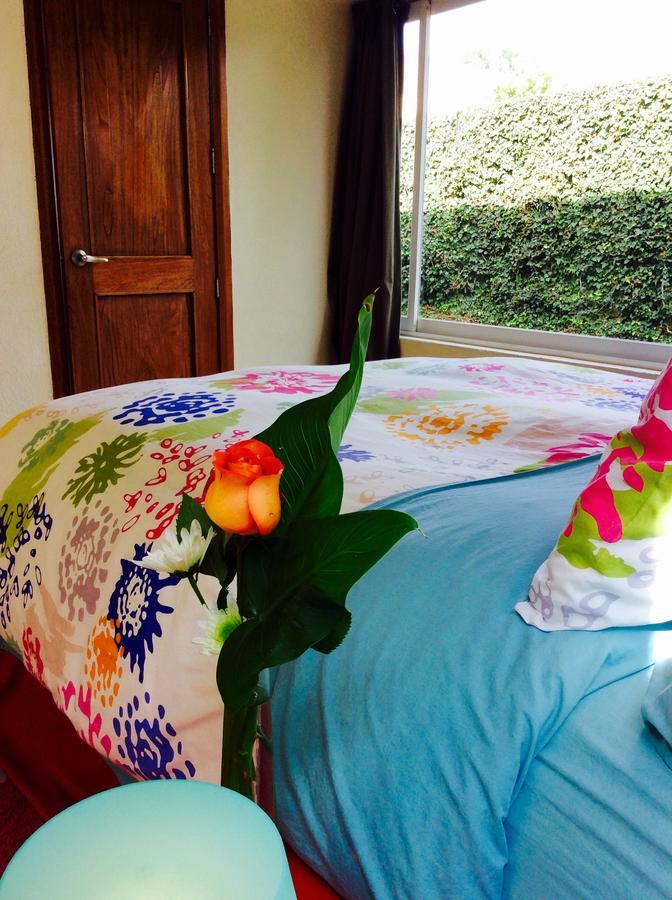 Casa Roa (Adults Only) Apartment Mexico City Luaran gambar